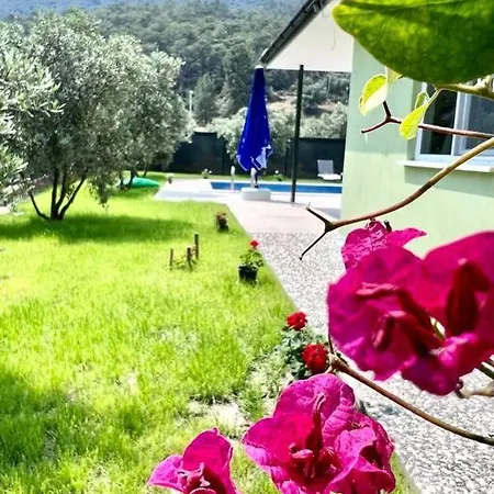 Ege Goecek Havuzlu Tam Muestakil * Dalaman
