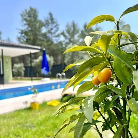 Villa Ege Goecek Havuzlu Tam Muestakil Dalaman